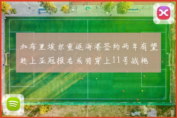 加布里埃尔重返海港签约两年有望赶上亚冠报名或将穿上11号战袍